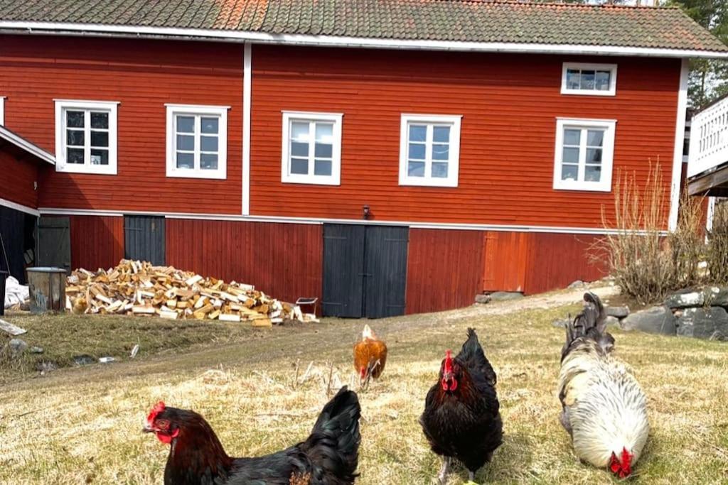 Egen Stuga Och Vedeldad Bastu Linghed Buitenkant foto