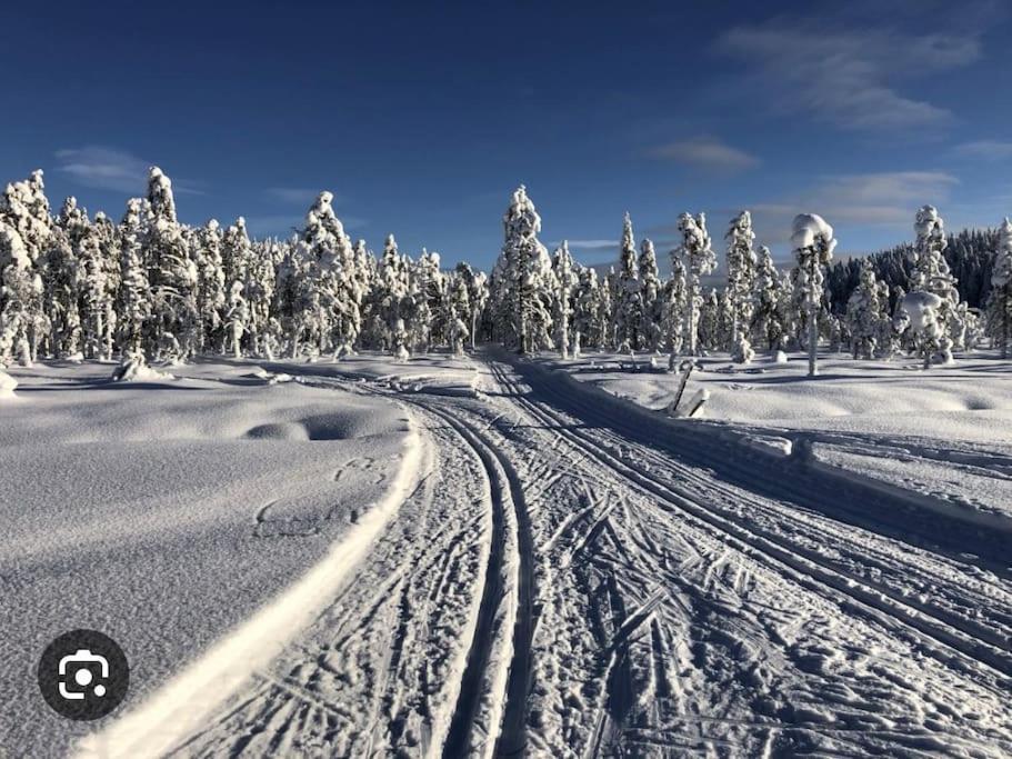 Egen Stuga Och Vedeldad Bastu Linghed Buitenkant foto